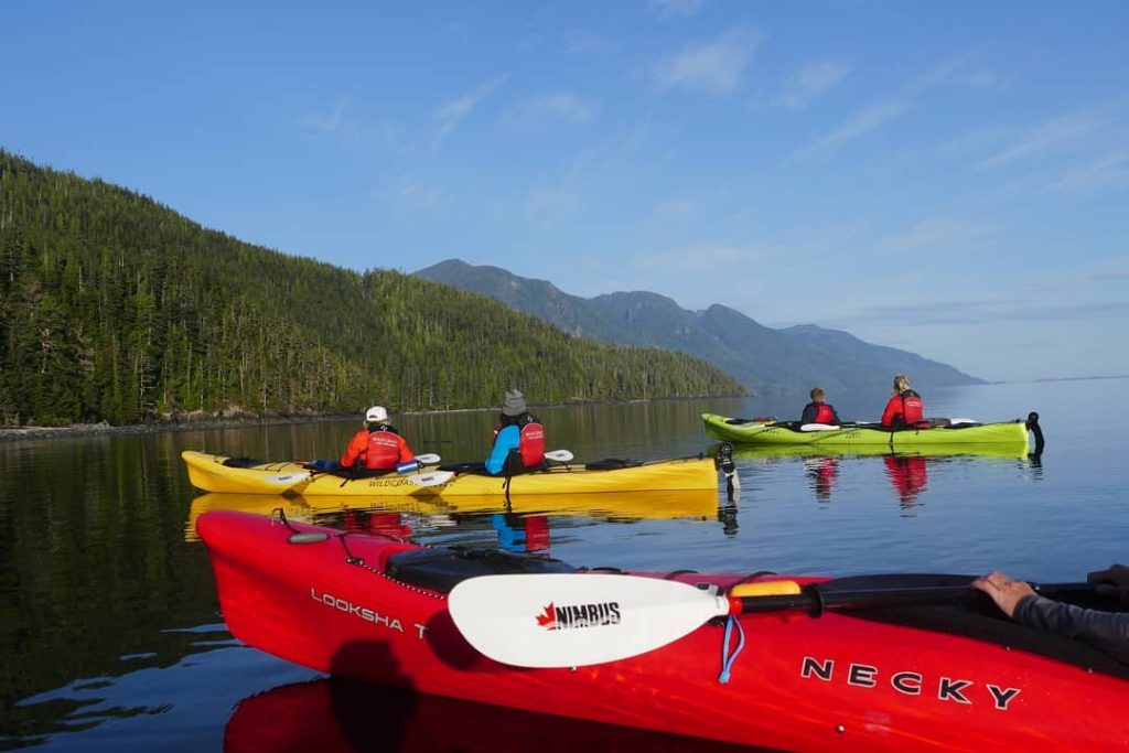 Photo Credit: Nimbus Paddles