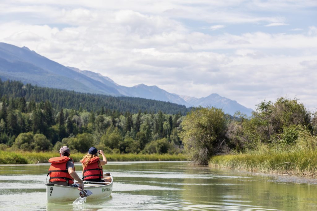 Two people canoeing on Columbia wetlands